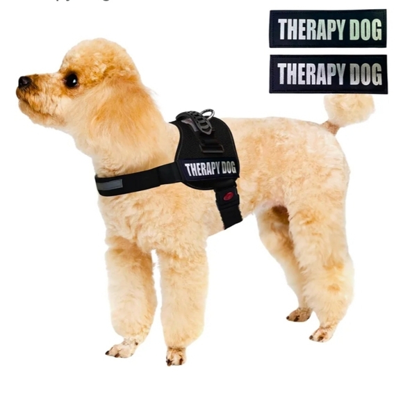 Albcorp Reflective Therapy Dog Harness Adjustable Straps Removable Patches, XS - Picture 6 of 12